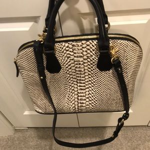 Brahmin snakeskin leather handbag